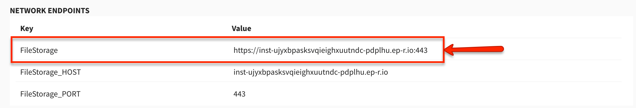 File Storage Endpoint